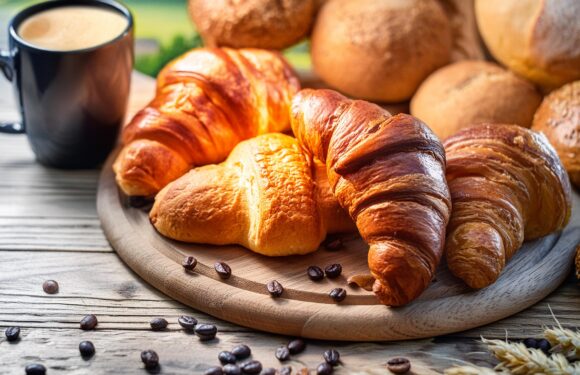 Probieren Sie unsere knusprigen Brote und Brötchen!