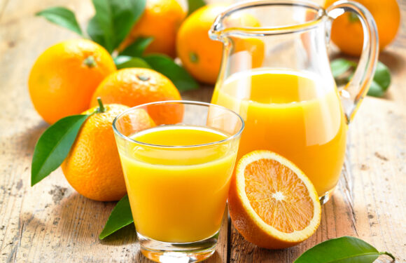 Vitaminreicher Trinkgenuss für stürmische Tage