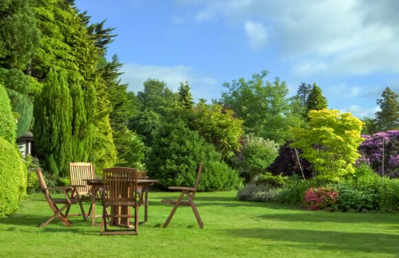 Aus dem Garten wird ein zweites Wohnzimmer Aus dem Garten wird ein zweites Wohnzimmer
